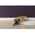 Plinthe Polystyrène HD Noël & Marquet 58 x 13 x 2000 - FT2F WALLSTYL - 1 pièce
