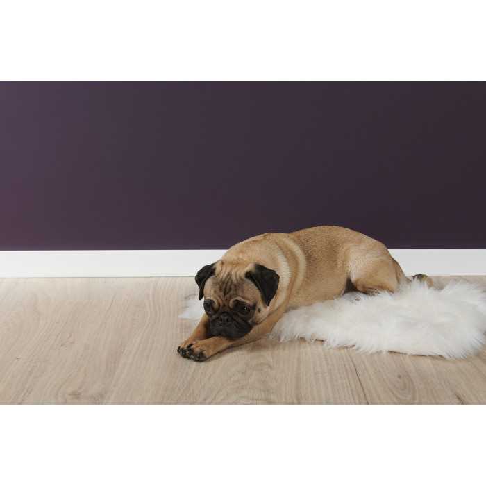 Skirting board High-density polystyrene Noël & Marquet 58 x 13 x 2000 - FT2F WALLSTYL - 1 piece